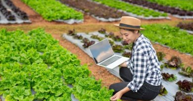 An Overview: Agri-Marketing Jobs in Nigeria