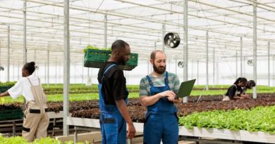 Changing Nigeria: Careers in Sustainable Agriculture