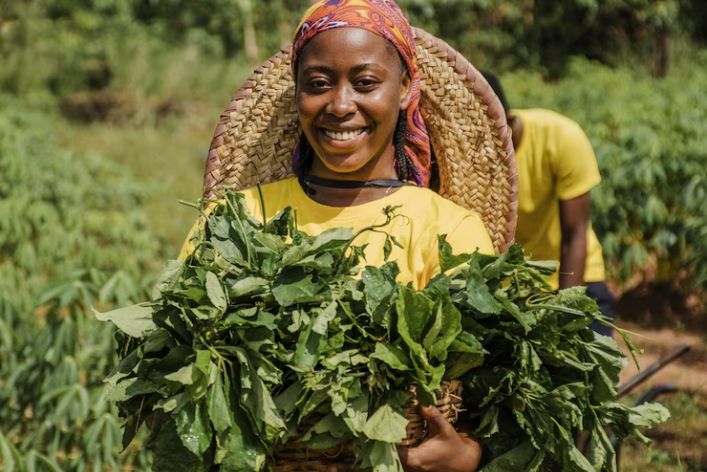 Essential Guide to Crop Farming Jobs in Nigeria