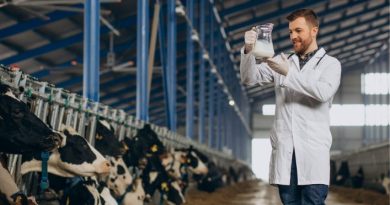 Nigeria's Dairy Industry: Exciting Career Prospects