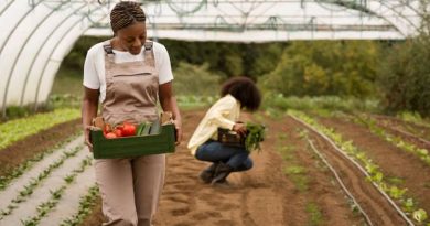 Paving Your Career Path: Agribusiness Roles in Nigeria