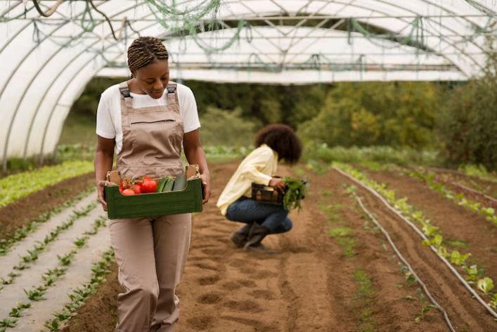 Paving Your Career Path: Agribusiness Roles in Nigeria