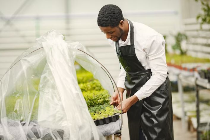 Seed Production Careers: A Growth Sector in Nigeria