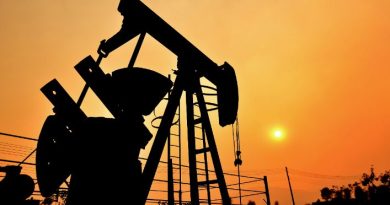 The Crucial Role of Geophysicists in Nigeria's Oil Discovery