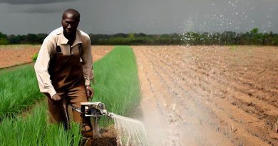 Agricultural Operations Management: Nigeria's Response to Climate Change