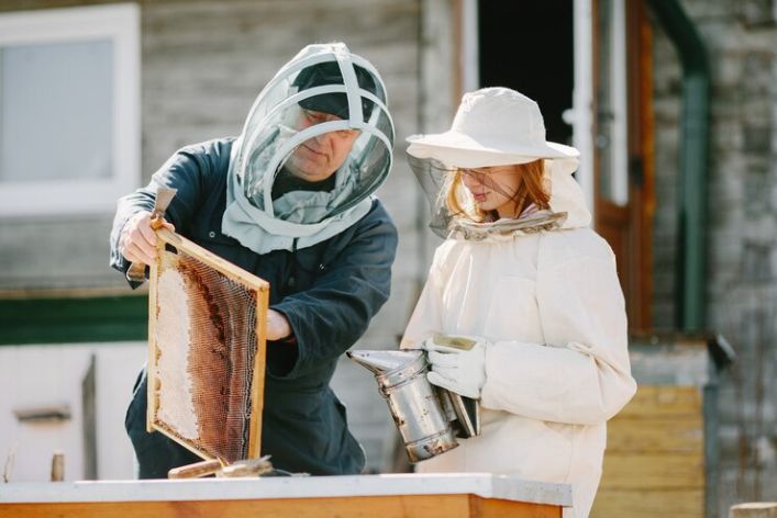 Beekeeping in Nigeria: An Emerging Agricultural Job