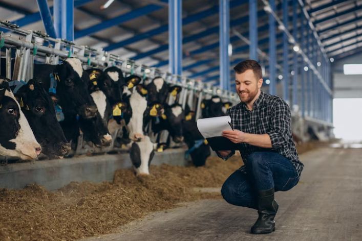 Career Spotlight: Livestock Farming Jobs in Nigeria