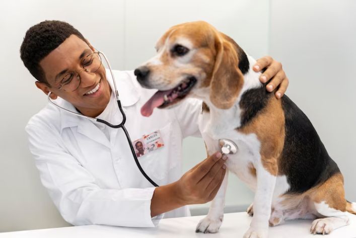Career Spotlight: Veterinary Services in Nigeria