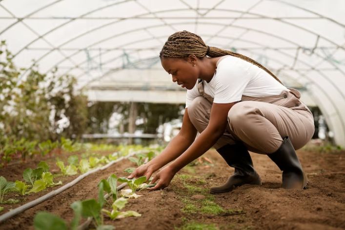 Essential Guide to Crop Farming Jobs in Nigeria