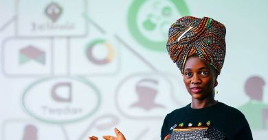 How Nigeria's Culture Influences its Software Industry