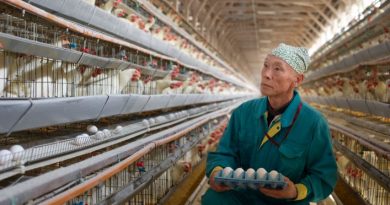 Making a Living: Poultry Farming Careers in Nigeria