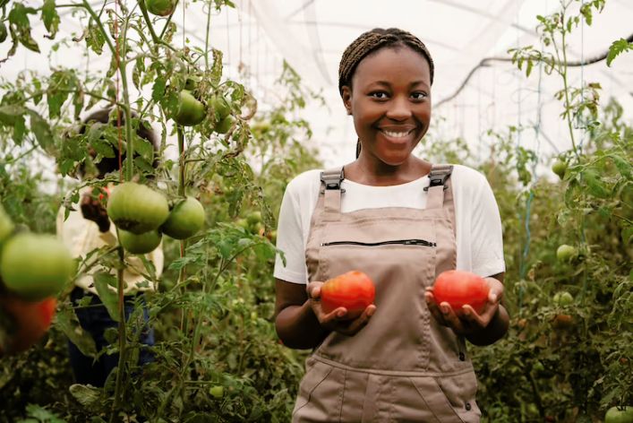 Role of Agriculture in Nigeria: Career Opportunities