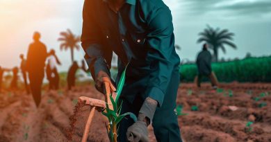 The Evolution of Agricultural Operations Management in Nigeria