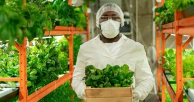 The Rise of Agri-tech Jobs in Nigeria's Economy
