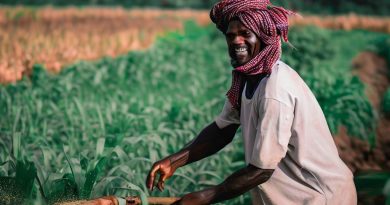 Agricultural Policies Impacting Nigerian Farmers