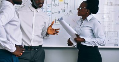 Challenges Faced by Systems Engineers in Nigeria