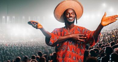 Cultural Sensitivity for Concert Promoters in Nigeria