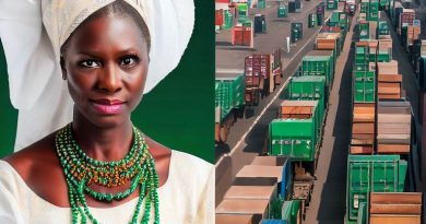 Nigeria's Supply-Chain: A Regional Comparison