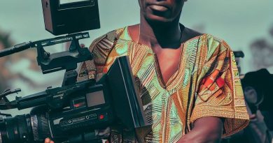 The Impact of Nollywood on TV Production in Nigeria