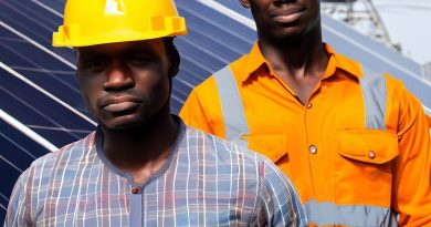 The Role of Solar PV Installers in Nigeria's Grid
