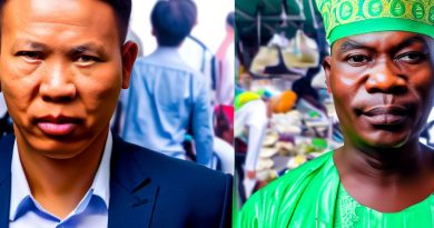 Differences Between Market Development and Sales in Nigeria
