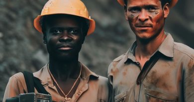 Mining and Exploration: Roles for Geologists in Nigeria