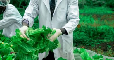 Sustainable Practices by Food Scientists in Nigeria: A Review